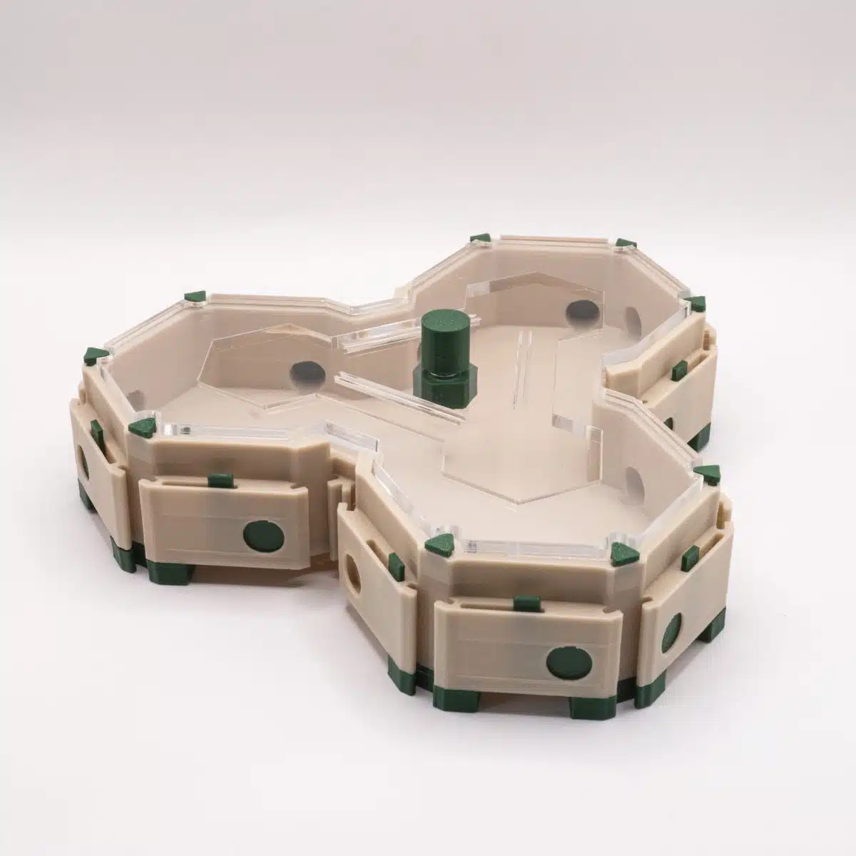 aire de chasse pour fourmis forme hexagonale