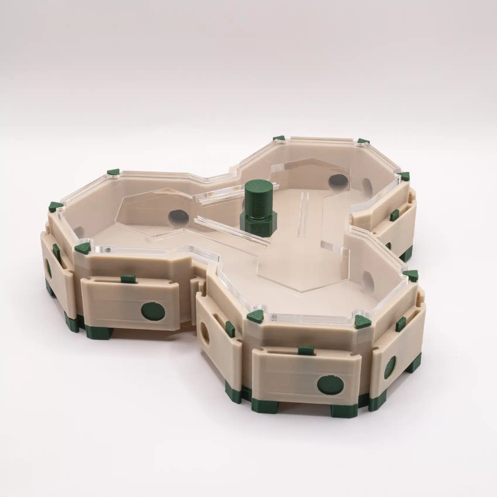 aire de chasse pour fourmis forme hexagonale