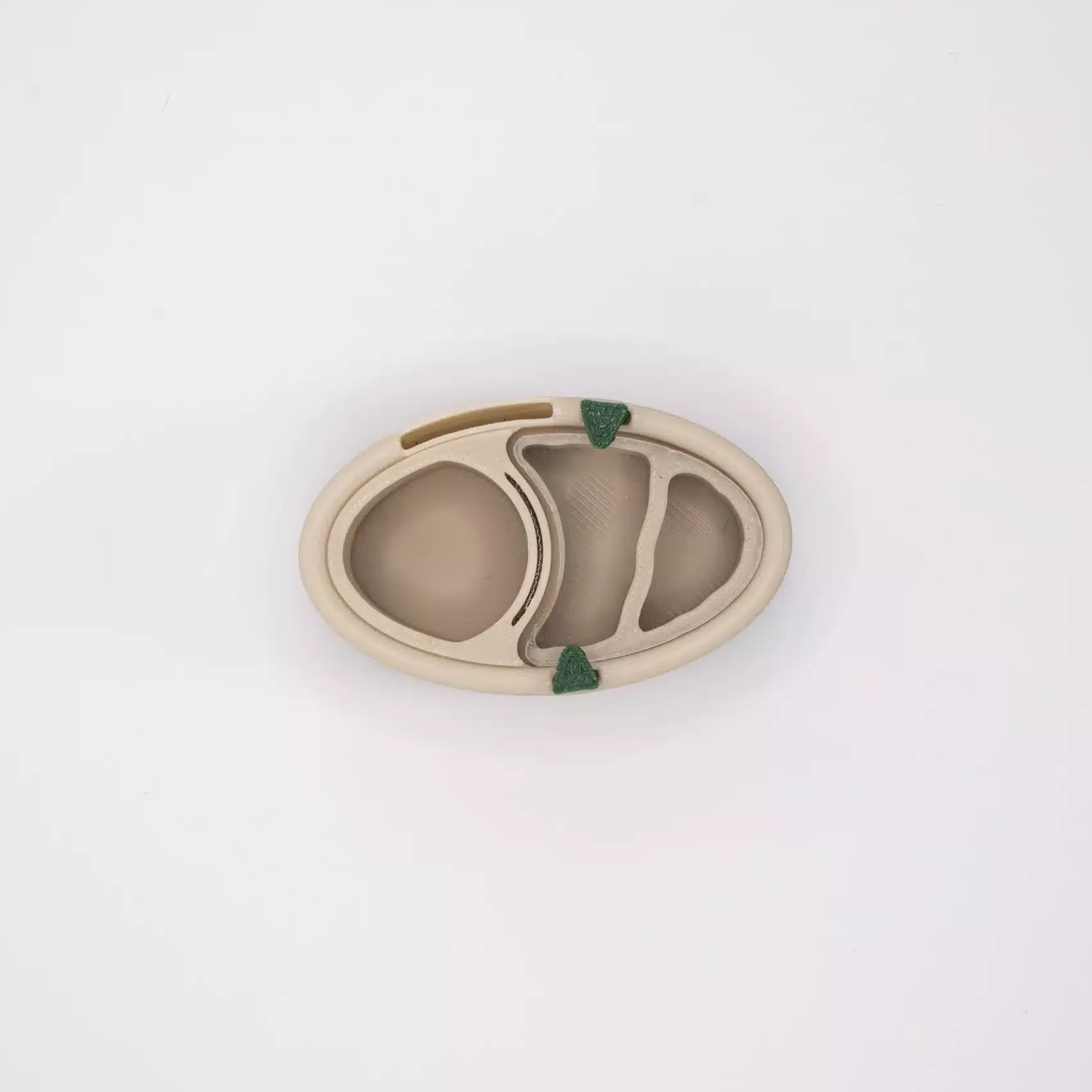 nid fondation modulable pour fourmis