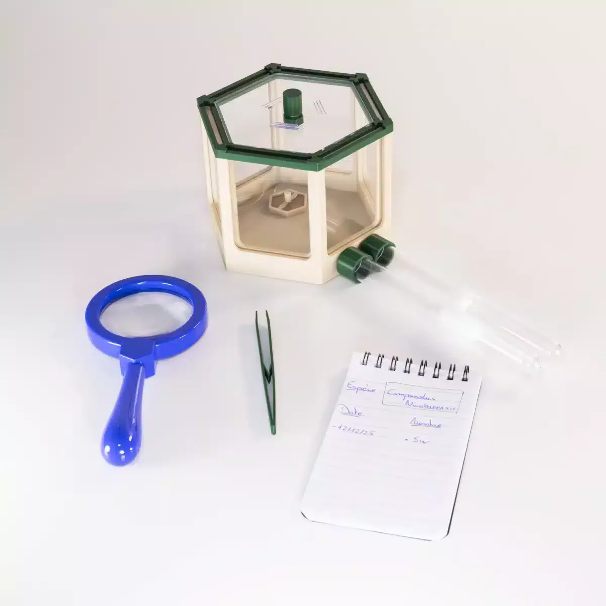 kit enfants pour débuter dans l'élevage de fourmis