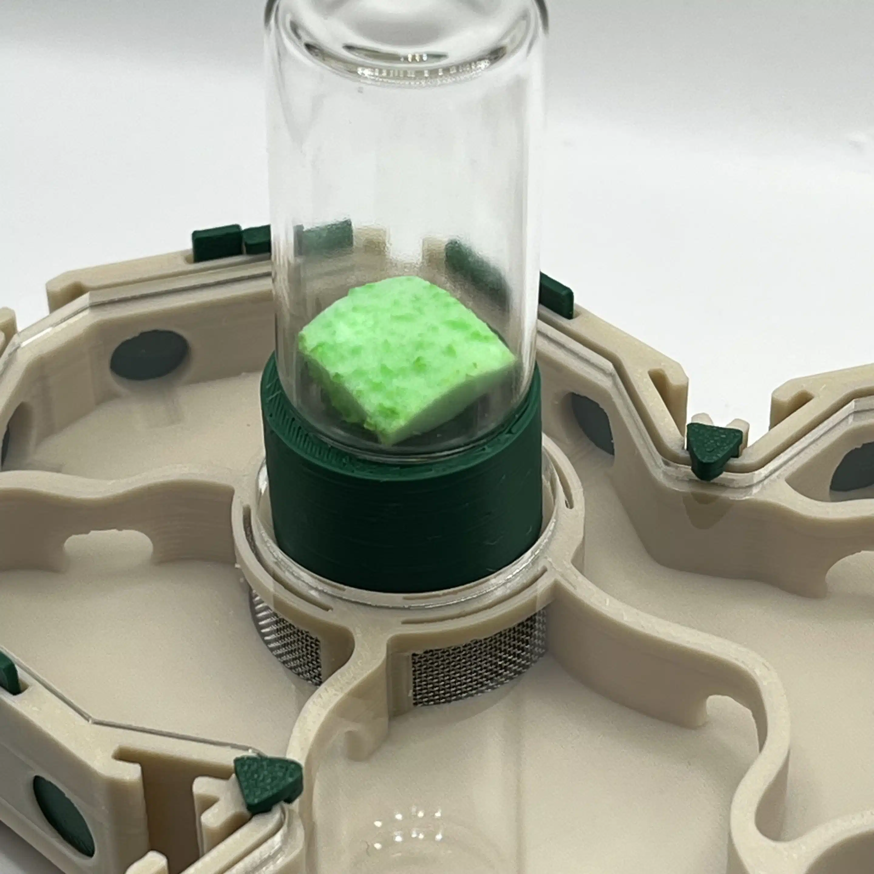 nid de fourmis taille M pour élevage de fourmis 3D système hydratation
